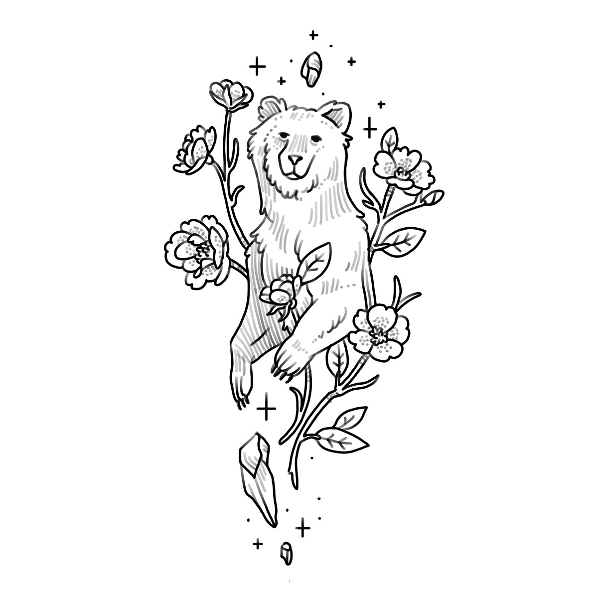 Bear + Wild Roses