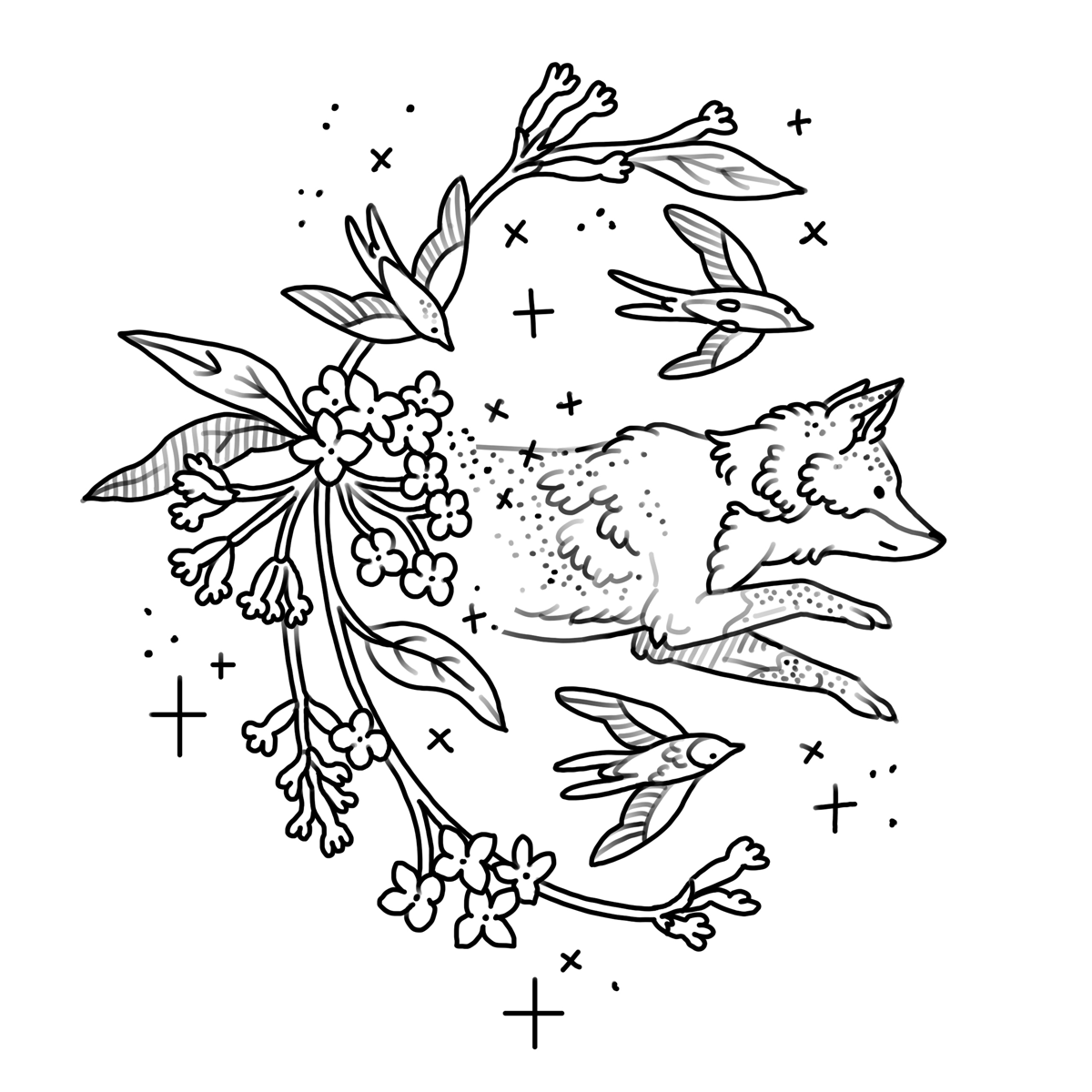 Fox + Lilac + Sparrows