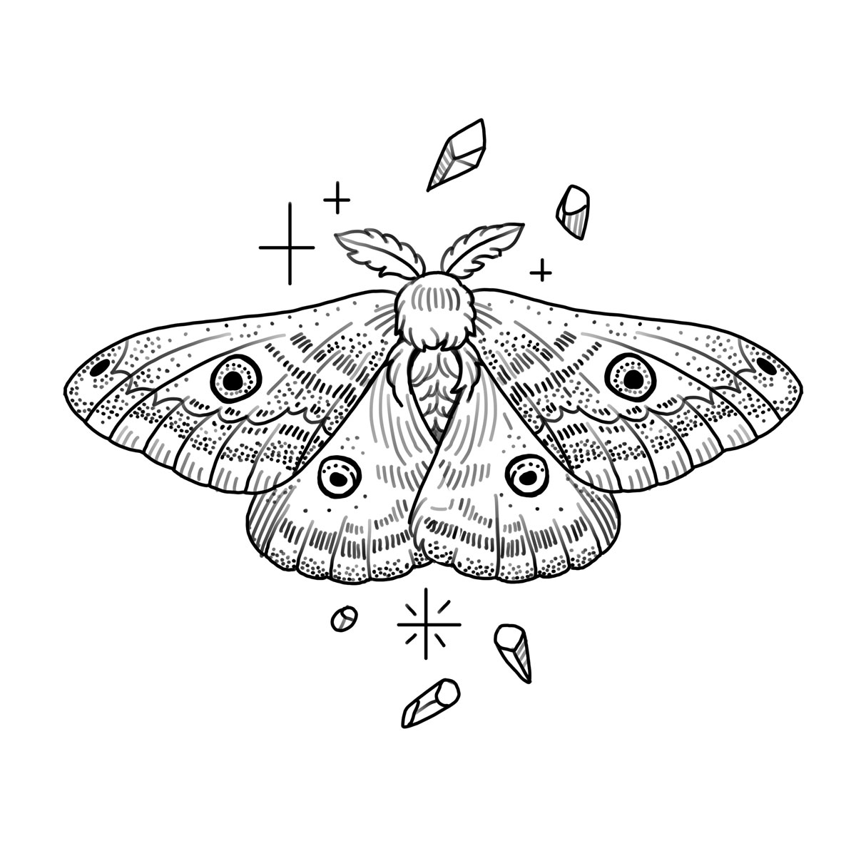 Simple Moth